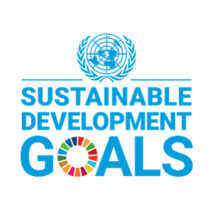 SDGs - the sustainable development goals of the UN